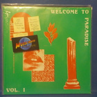 VARIOUS - WELCOME TO PARADISE VOL1 UUSI HOL -2017 LP - pikkukuva 1