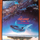 CD: Beach Boys - Summer in Paradise - pikkukuva 1