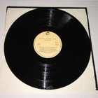 JEAN SIBELIUS RAKKAUDELLA LP - pikkukuva 4