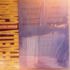 RAFFAELLA CARRÅ  ::  INVIATO SPECIALE :: VINYYLI  LP   1990 - pikkukuva 2