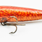 Kalannahkapätäkkä, 7.5cm, 9.1g - pikkukuva 4