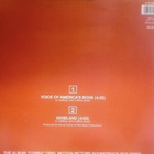 JOHN CAFFERTY :: VOICE OF AMERICA'S SONS :: VINYYLI 12" 1985 - pikkukuva 2