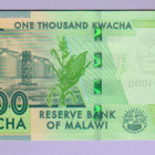 Malawi 1000 Kwacha v.2024 UNC P-New Desing - pikkukuva 2