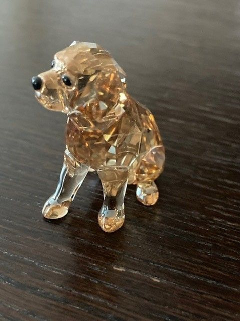 Swarovski kristalli koira