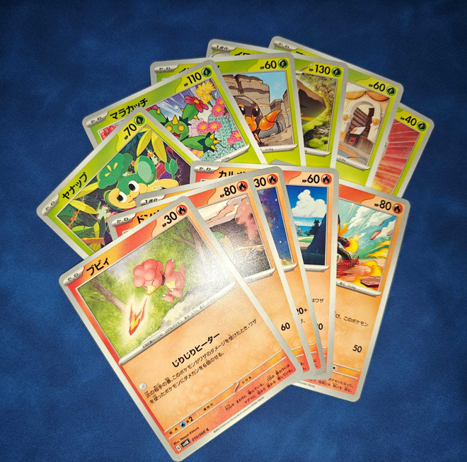 Pokémon Ancient Roar 5