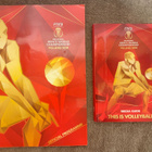 LENTOPALLON MM 2014 PUOLA OHJELMA + MEDIA GUIDE - pikkukuva 1