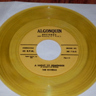 7" RAVENAIRS - Together Forever - single 1958 doo-wop MINT- - pikkukuva 2