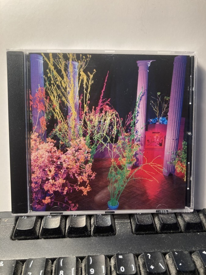 HÜSKER DÜ (HUSKER DU): Warehouse: Songs And Stories, CD