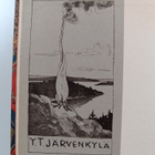 Anna-Maria (toim.) Tallgren : Maailman kirjallisuuden kul... - pikkukuva 3