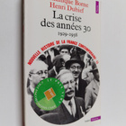 Dominique Borne : La crise des annees 30 : 1929-1938 - pikkukuva 1
