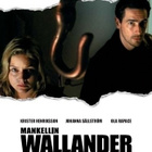 wallander pimeys	(28 691)	k	-FI-	suomik.	DVD			2005 - pikkukuva 2