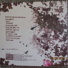 Emiliana Torrini FISHERMAN'S WOMAN (CD) - pikkukuva 2