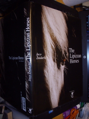 Joco Znidarsic : The Lipizzan Horses ( 1 p. 2004 ) SIS.PK!