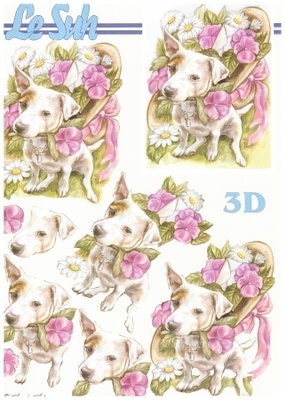 3D "°KOIRA & KUKKAHATTU"° /Le Suh