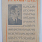 Verneri Louhivuori : Tulipunainen kukka - pikkukuva 2