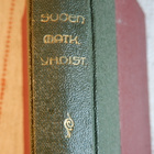SUOMEN MATKAILIJAYHDISTYKSEN VUOSIKIRJA 1931 - pikkukuva 1