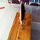 KH  vaappu 8cm Jalokalalle - pikkukuva 3