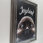 Lauri Ahonen : Jaybird - pikkukuva 1