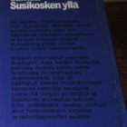 Sariola: Sumua Susikosken yllä - pikkukuva 2
