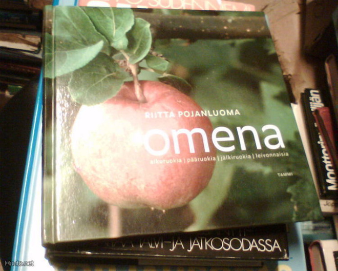 Riitta Pojanluoma OMENA ( 1 p.2006 ) Sis.p o s t i k u l u