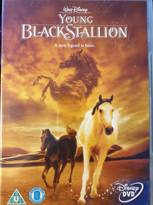 Young Black Stallion DVD
