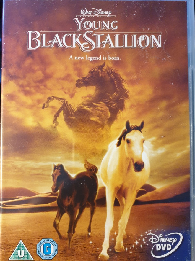 Young Black Stallion  DVD