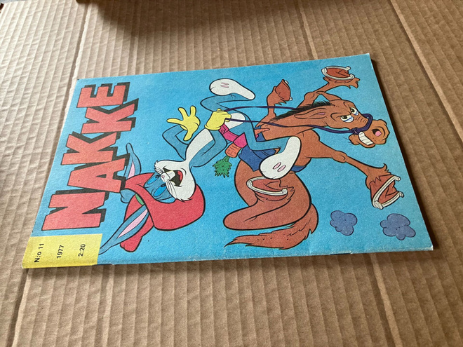 NAKKE 11/1977 HYVÄ