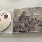 Ronnie wood . Not for beginners CD promo - pikkukuva 1