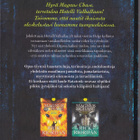 Rick Riordan: Magnus Chase opas - Hotelli Valhalla (sid.) - pikkukuva 2