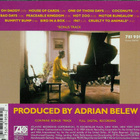 Adrian Belew - Mr. Music Head - pikkukuva 2