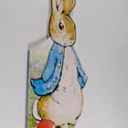 All About Peter (Peter Rabbit) Shaped Boardbook - pikkukuva 1