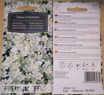Nukkahärkki 'Snow In Summer' - siemenet #
