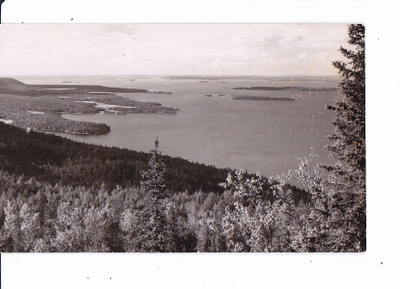 VANHA Postikortti Koli 1930-l