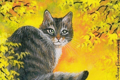 Irina Garmashova: Kissa, aurinkoinen syksy