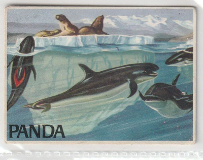 Panda Meren salaisuudet