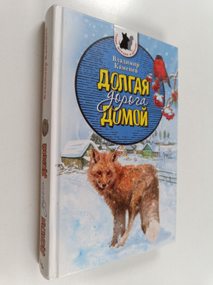 Vladimir Kamenev : Dolgaja doroga domoi