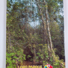 Inge Feier ym. : Loro Parque, Puerto de la Cruz-Tenerife-... - pikkukuva 2