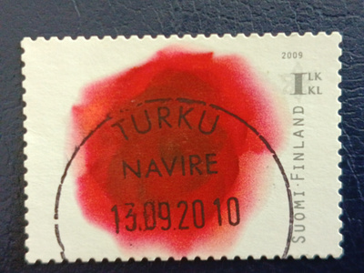 -09 Ruusu kukka. Loisto
