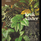 Löwenmo, Runo : Krukväxter - pikkukuva 2
