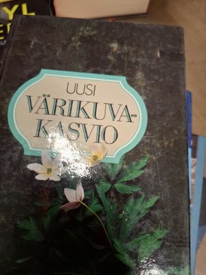 Uusi värikuvakasvio