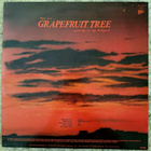 The Nights of Iguana: Grapefruit tree LP - pikkukuva 2
