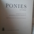 Christina Pullein-Thompson - Ponies in Color (hardcover) - pikkukuva 2
