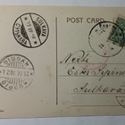 Tiput, munia korissa, pajunkissoja, Pääsiäispk, 1916 + sens. - pikkukuva 2