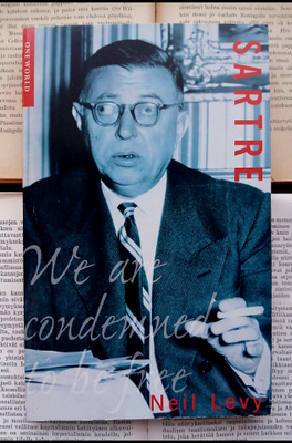 Neil Levy - Sartre (softcover)