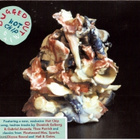 A BUGGED OUT MIX BY HOT CHIP (TUPLA) - pikkukuva 1