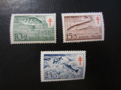 1955 TUB **