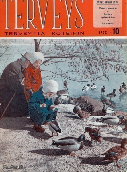 Terveys n:o 10 1962 Mistähän sinappia saadaan?