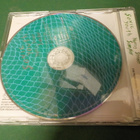SONIC YOUTH - MURRAY STREET SAMPLER PROMO CDS - pikkukuva 2