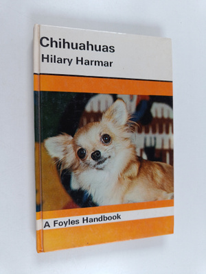 Hilary Harmar : Chihuahuas