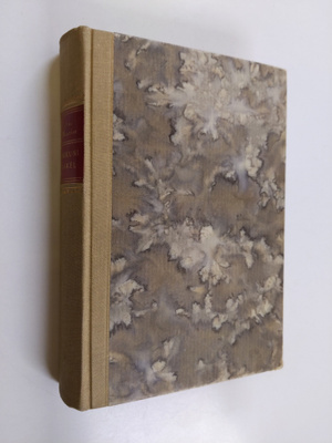 Daphne Du Maurier : Serkkuni Raakel